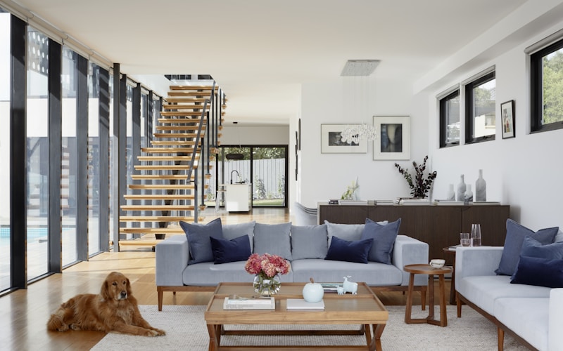 Piața Imobiliară din Vaslui în 2026 – Prețuri și Tendințe